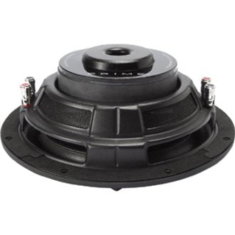 Rockford Fosgate R2SD4-10 Woofer